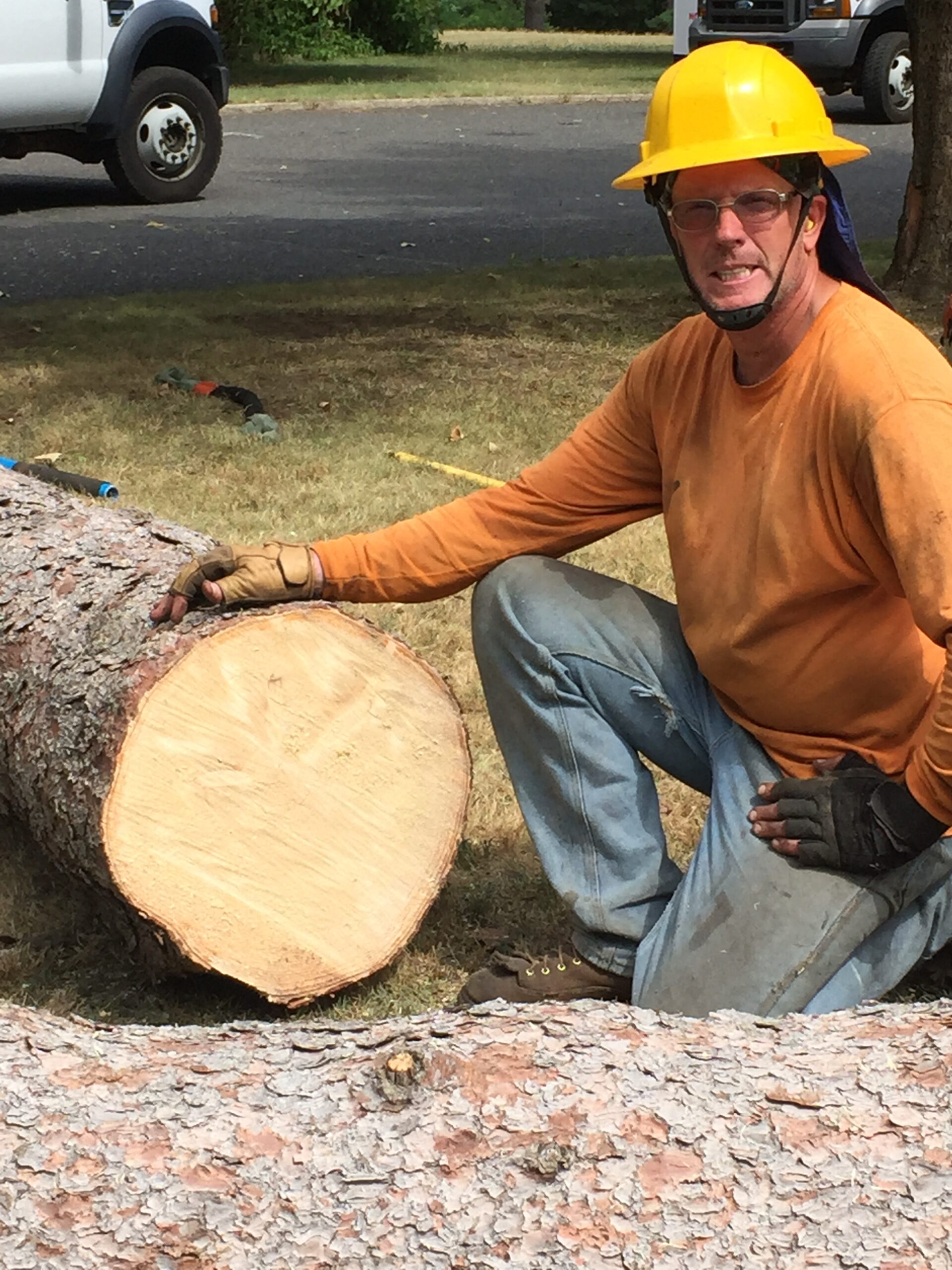 E & R Tree Service – Experience Matters
